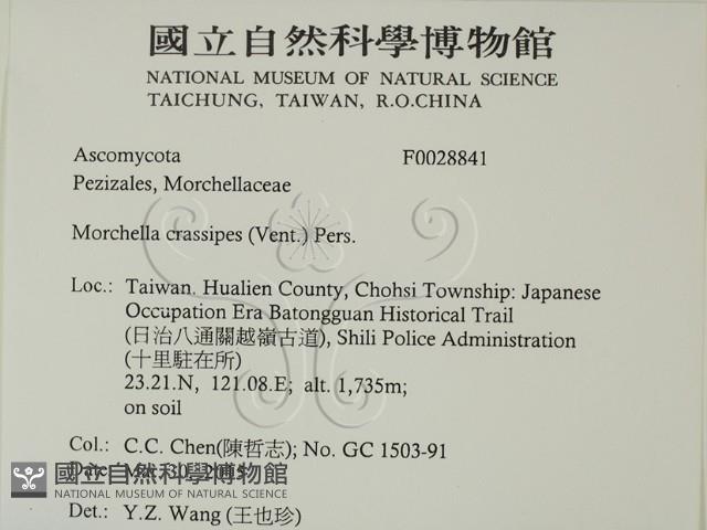 登錄號:F0028841藏品圖，第2張