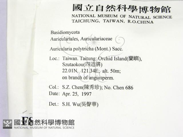 毛木耳藏品圖，第2張