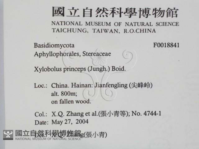 登錄號:F0018841藏品圖，第2張