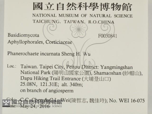 登錄號:F0030841藏品圖，第2張