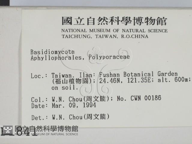 登錄號:F0001841藏品圖，第2張