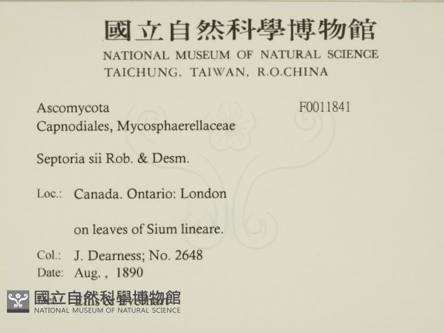 登錄號:F0011841藏品圖，第2張