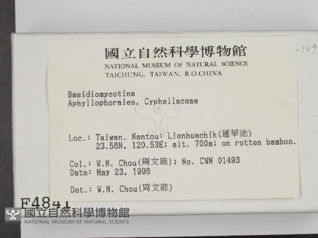 登錄號:F0004841藏品圖，第2張