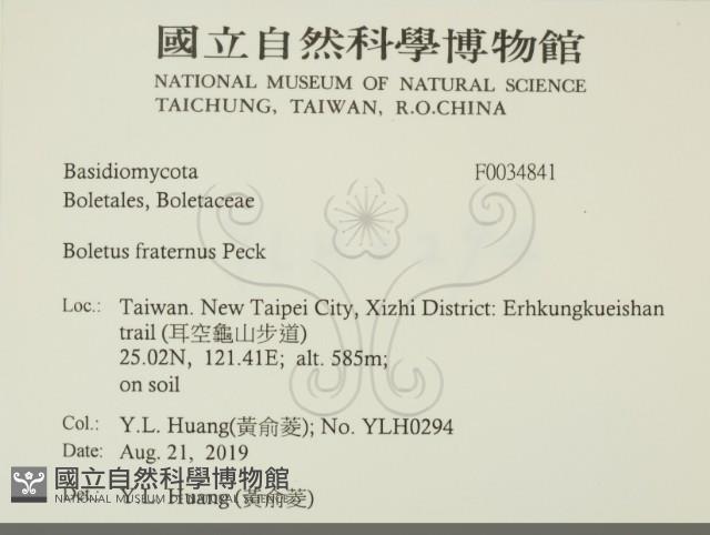 登錄號:F0034841藏品圖，第2張