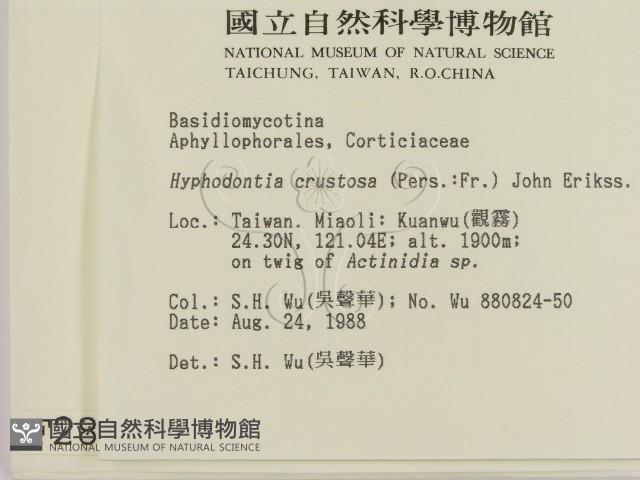 登錄號:F0002841藏品圖，第2張