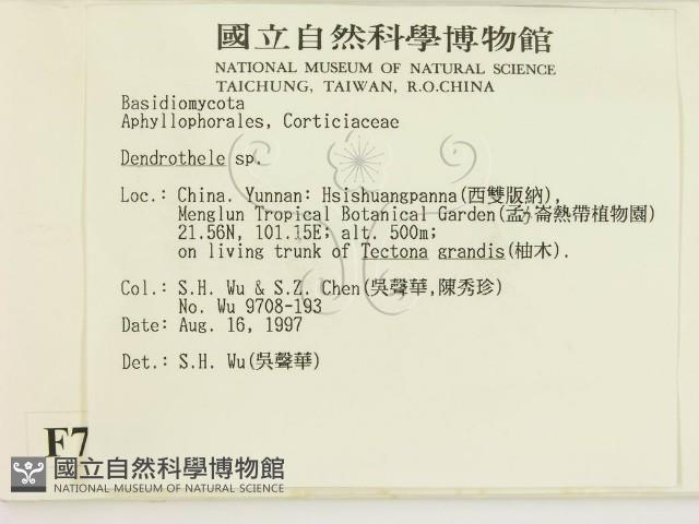 登錄號:F0007841藏品圖，第2張