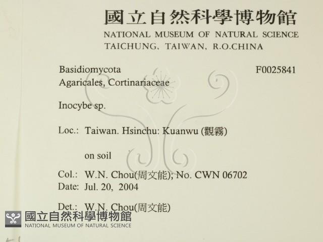 登錄號:F0025841藏品圖，第2張
