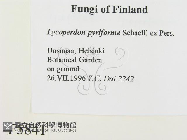 登錄號:F0005841藏品圖，第2張