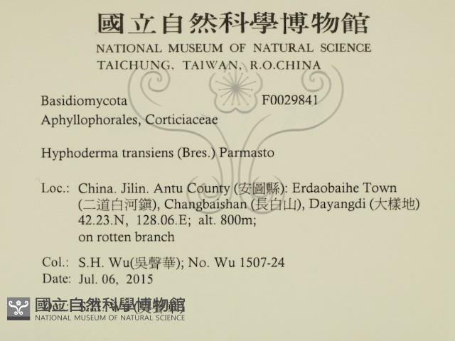 登錄號:F0029841藏品圖，第2張