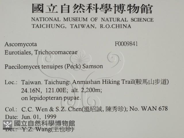 登錄號:F0009841藏品圖，第2張