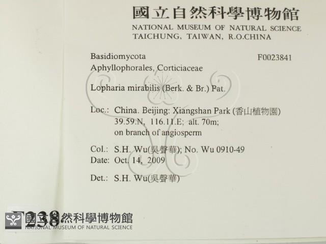 登錄號:F0023841藏品圖，第2張