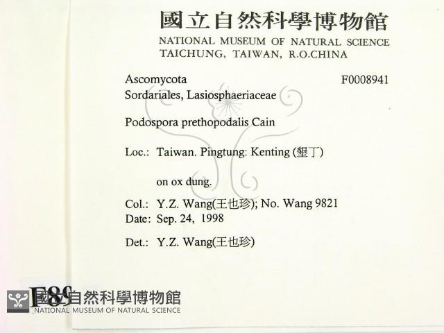 登錄號:F0008941藏品圖，第2張