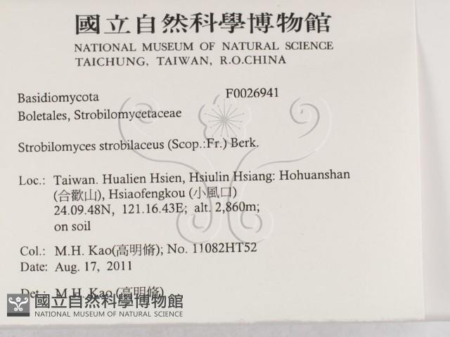 登錄號:F0026941藏品圖，第2張