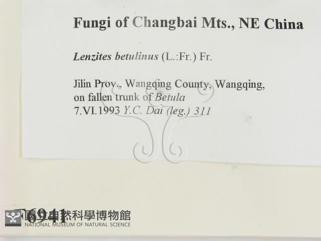 登錄號:F0006941藏品圖，第2張