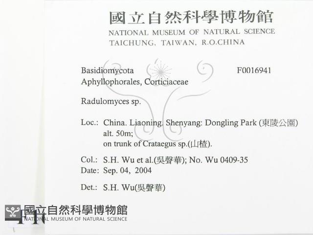 登錄號:F0016941藏品圖，第2張