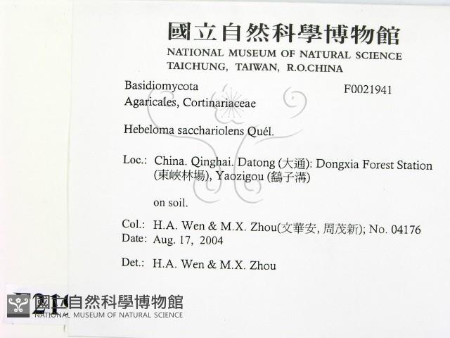 登錄號:F0021941藏品圖，第2張