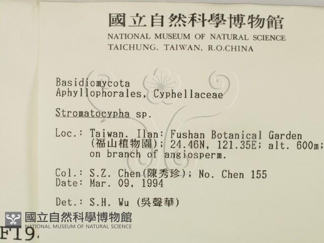 登錄號:F0001941藏品圖，第2張