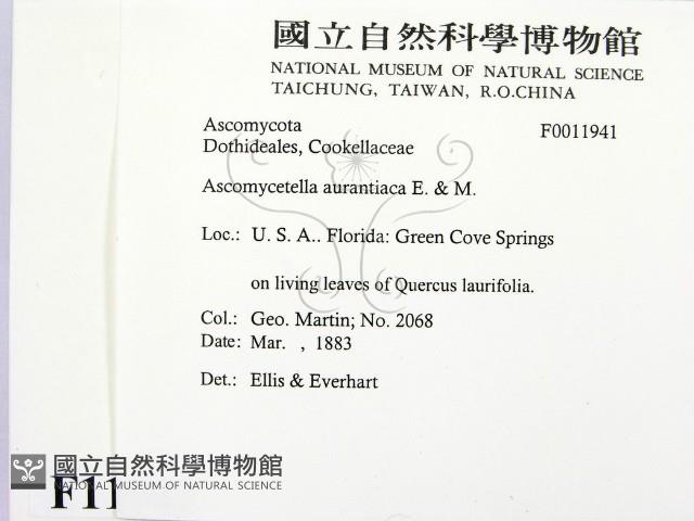 登錄號:F0011941藏品圖，第2張