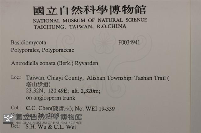登錄號:F0034941藏品圖，第2張