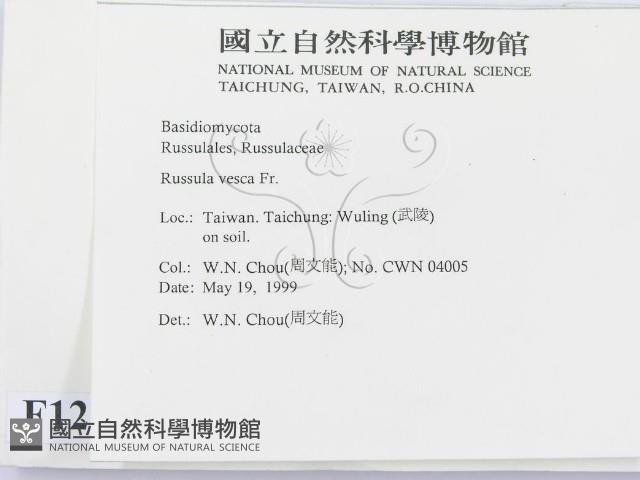 登錄號:F0012941藏品圖，第2張
