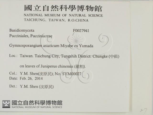 登錄號:F0027941藏品圖，第2張