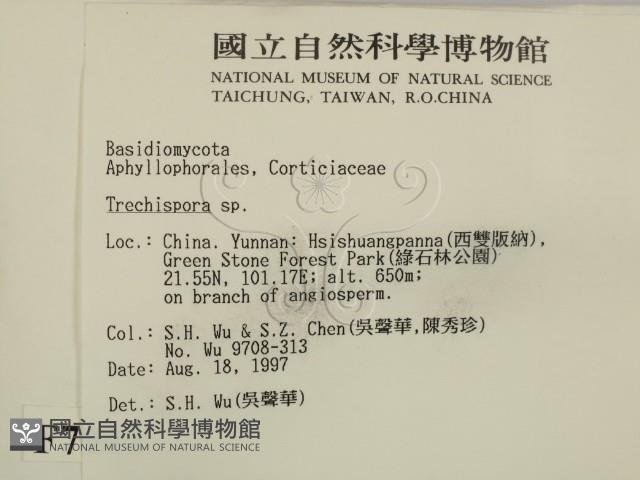 登錄號:F0007941藏品圖，第2張