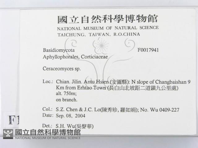 登錄號:F0017941藏品圖，第2張