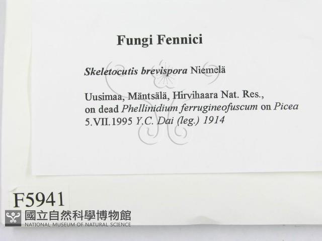 登錄號:F0005941藏品圖，第2張