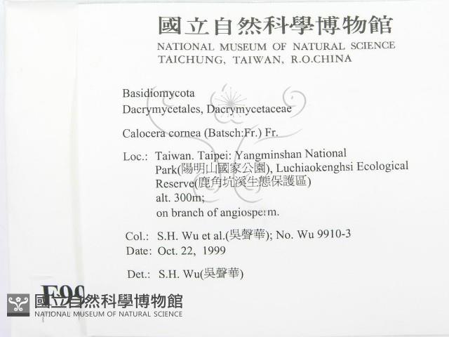 登錄號:F0009941藏品圖，第2張