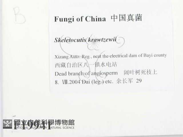 登錄號:F0019941藏品圖，第2張