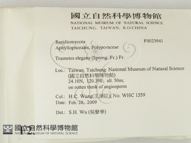 登錄號:F0023941藏品圖，第2張