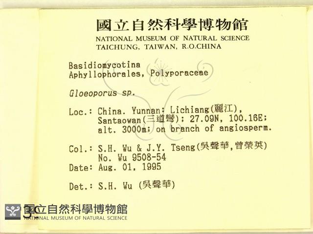 登錄號:F0003941藏品圖，第2張