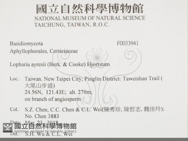 登錄號:F0033941藏品圖，第2張