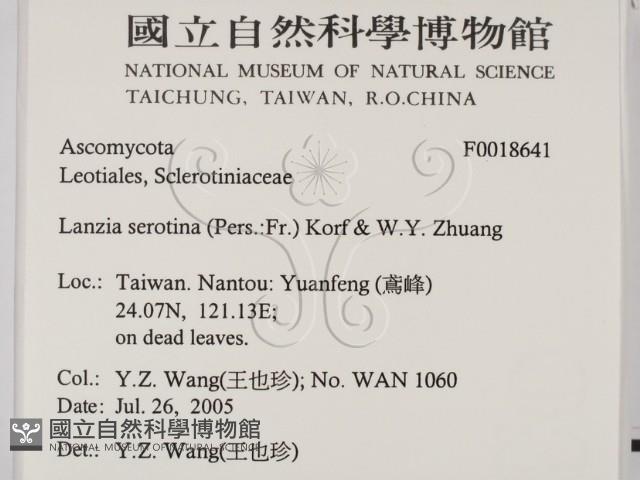 登錄號:F0018641藏品圖，第2張
