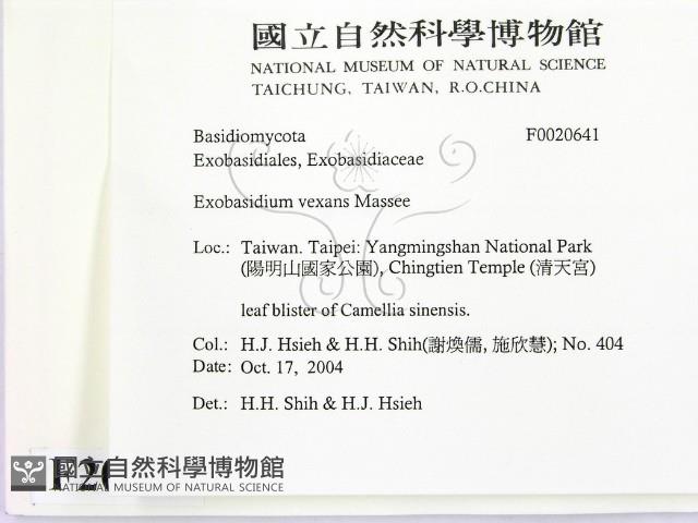 登錄號:F0020641藏品圖，第2張