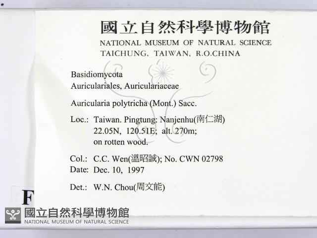 毛木耳藏品圖，第2張