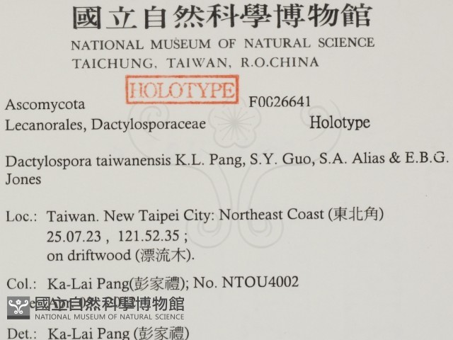登錄號:F0026641藏品圖，第2張