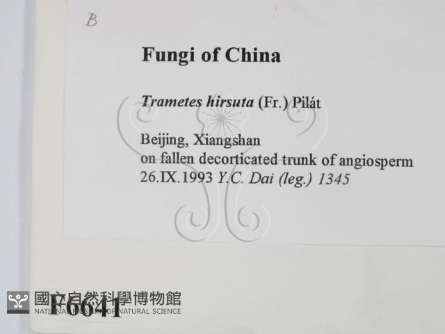 登錄號:F0006641藏品圖，第2張