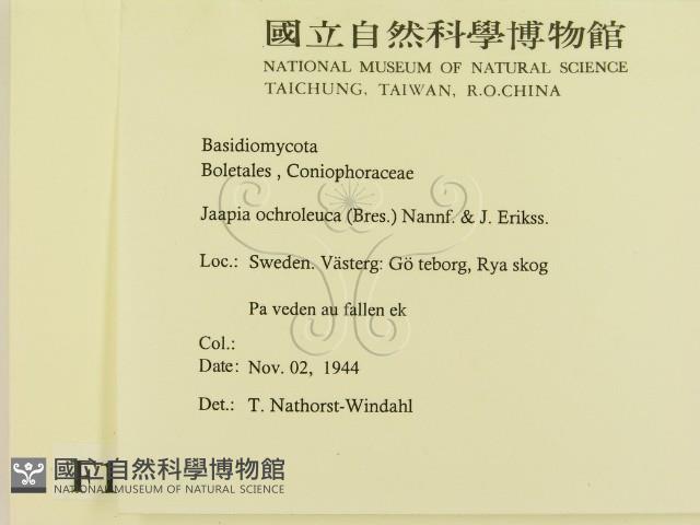 登錄號:F0016641藏品圖，第2張