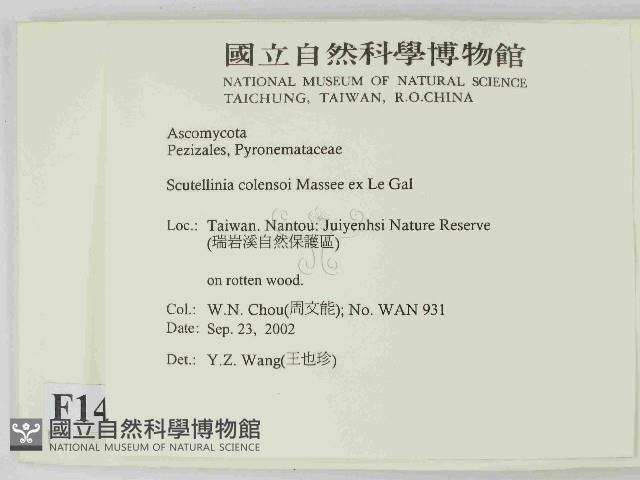 登錄號:F0014641藏品圖，第2張