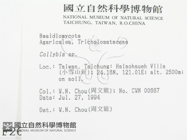 登錄號:F0002641藏品圖，第2張