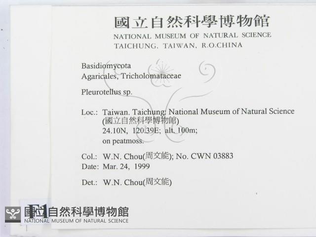 登錄號:F0012641藏品圖，第2張