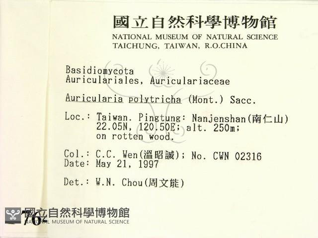 毛木耳藏品圖，第2張