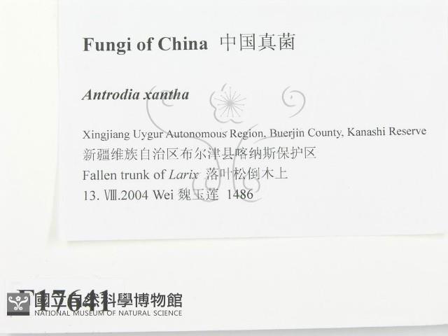 登錄號:F0017641藏品圖，第2張