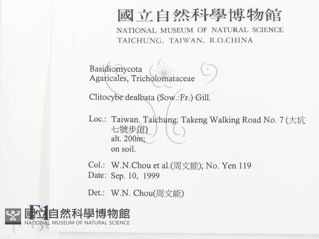 登錄號:F0015641藏品圖，第2張