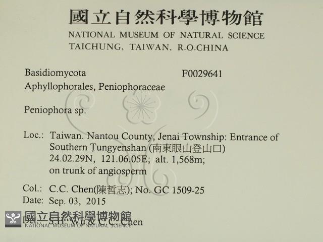 筍殼菌屬藏品圖，第2張