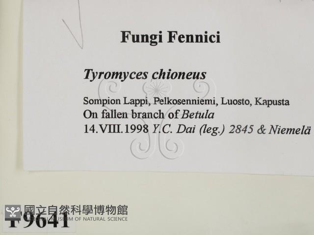 登錄號:F0009641藏品圖，第2張