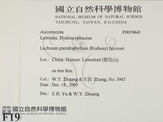 登錄號:F0019641藏品圖，第2張