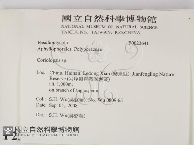 登錄號:F0023641藏品圖，第2張