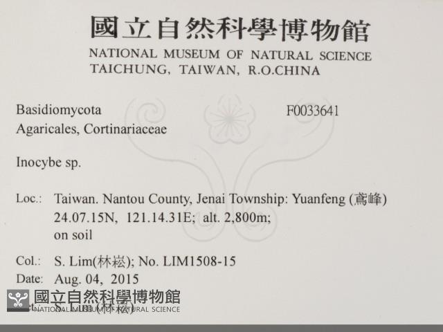登錄號:F0033641藏品圖，第2張